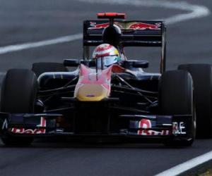 Puzzle Sebastien Buemi - Toro Rosso - Hungaroring 2010